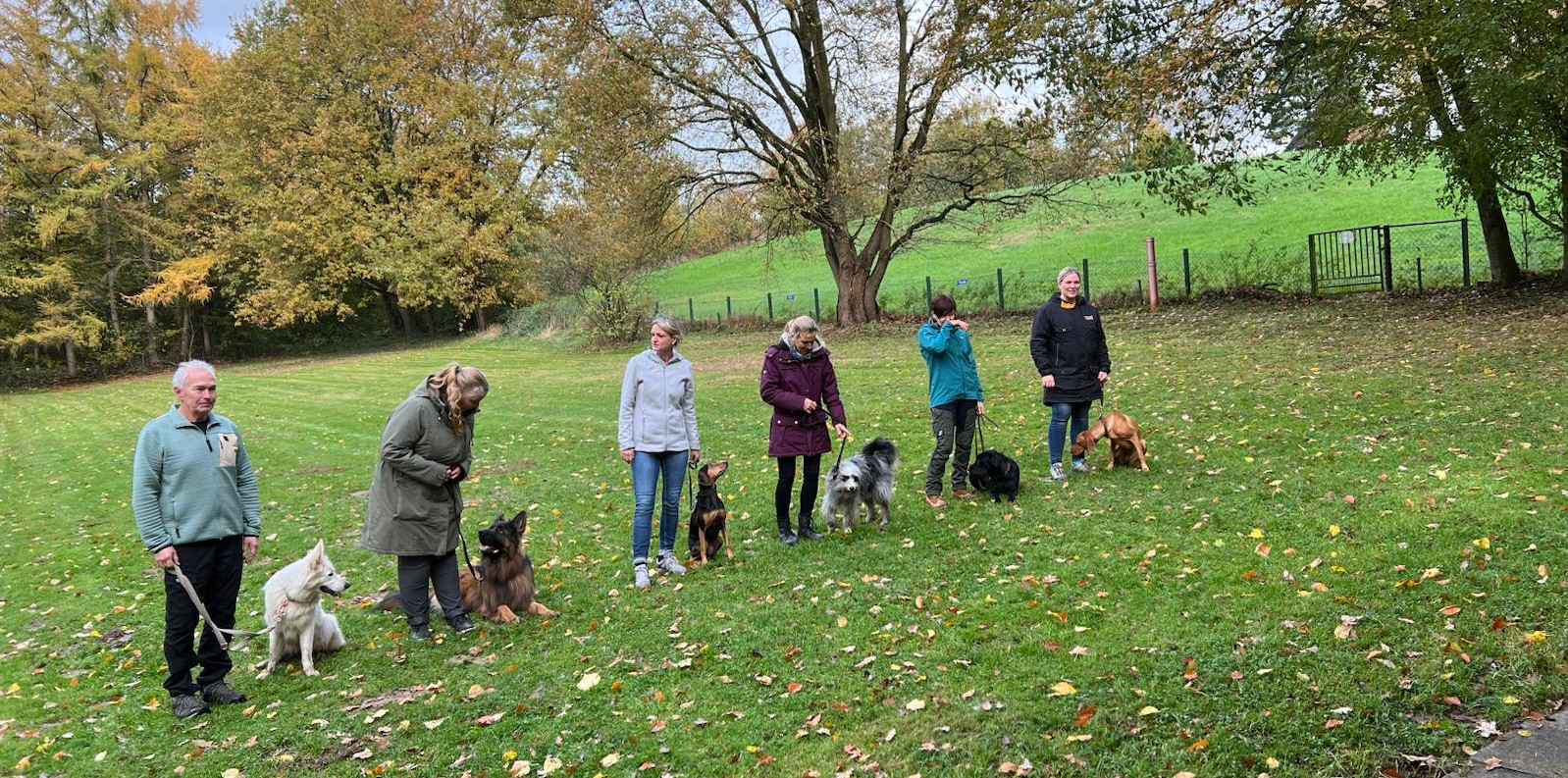 Bild "Willkommen:begleithunde.jpg"